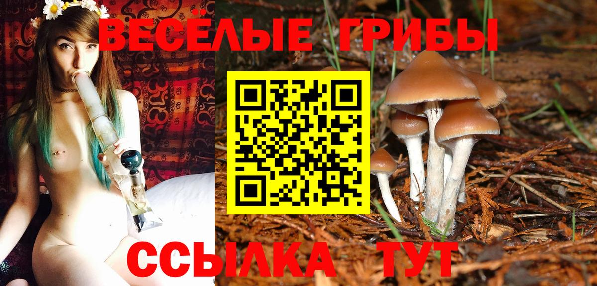Советская Гавань  Галлюциногенные грибы Magic Shrooms  Вход с VPN 